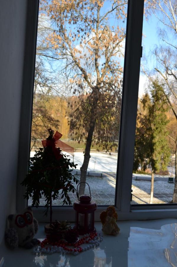 Appartement Квартира Двохкімнатна Фонтан à Kamianets-Podilsky Extérieur photo